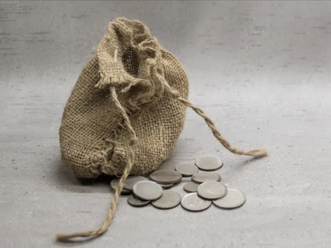 Bag of Coins